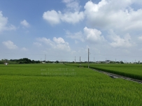 天氣真好天氣 真好天氣真好