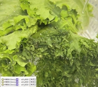 #沒肉吃#多吃菜  #沒肉吃#多吃菜