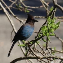 春天FU 春天FU 春天FU