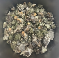 看起來很好吃的樣子  流口水了